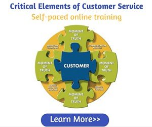 Critical Elements of Customer Service2